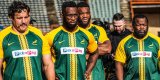 PICTURES: Springboks train in eye-catching jerseys