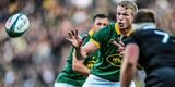 SA Rugby lauds Springboks quartet on World Rugby nominations