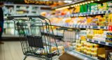 Many SA households don't have enough food to eat — study
