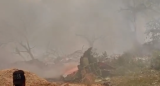 WATCH | Air India plane with 242 on board crashes at Ahmedabad airport