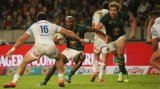 Innovative Boks blank Italy in Gqeberha