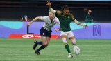 Ruthless Blitzboks whack Ireland