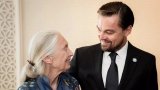 Leonardo DiCaprio leads star tributes to Dr. Jane Goodall