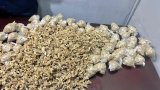 JMPD seizes R280,000 worth of drugs in Hillbrow operation