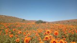 SANParks announces week of free access to national parks