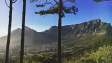 Hikers urged to prioritise safety at Table Mountain National Park after recent assault