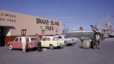 Remembering the Snake Park