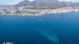 Cape Town’s Blue Flag beaches face serious water quality challenges