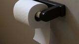 Labour Court orders reinstatement, R120k backpay for worker fired over toilet paper 'theft'