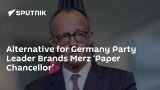 Alternative for Germany Party Leader Brands Merz ‘Paper Chancellor’