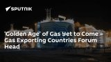 'Golden Age' of Gas Yet to Come – Gas Exporting Countries Forum Head