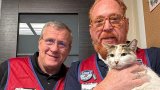 Francine's journey: how a community rallied to find a missing cat