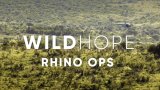 New film 'Wild Hope: Rhino Ops' explores Ezemvelo KZN Wildlife's dehorning programme