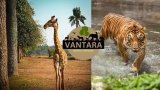 Vantara: Possibility of healing our relationship with wildlife