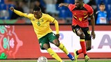 Hugo Broos hails Tshepang Moremi’s impact in Bafana Bafana's AFCON win over Angola