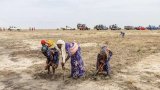 African Giant Nigeria in Trouble as Humanitarian Crisis Looms
