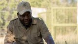 HERD euthanises elephant Limpopo after fatal attack on senior carer