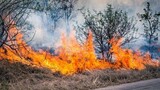Smoke, fear and dry taps as fires rage across Nelson Mandela Bay