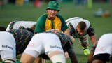 Rassie's radar | Breaking down the Springboks’ tighthead anchors for Daan Human's scrum