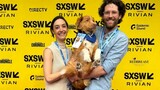 Dog wins movie award, beating actors like Ethan Hawke
