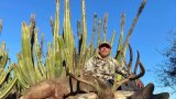 US millionaire gored to death by buffalo he was hunting in Limpopo