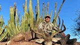 Buffalo attack claims life of US millionaire during Limpopo hunting trip