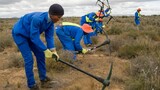 UN recognises South Africa’s thicket restoration as world restoration flagship