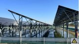 Greening Progress: How China Is Leading the Global Clean Energy Transition