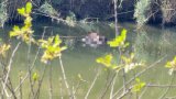 Mystery as bodies of three Zimbabwean men found floating in Mpumalanga river