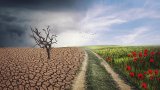 How Indigenous knowledge can reshape global climate policy