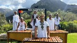 Top cultural experience in Cape Town: Why 'Drumstruck at Silvermist' is a must-do