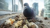 Eco-friendly bird abatement gains ground as poison loses favour