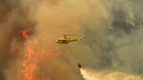 Western Cape firefighting resources under strain as wildfire season costs surpass R2.4m