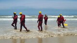 Fatal drownings mar New Year’s Day at Western Cape beaches