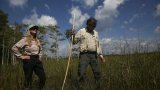 Activists fight to protect Florida's wetlands from Alligator Alcatraz