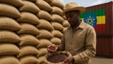 BRICS+ Series: Ethiopia’s coffee exports surge amid market diversification and global demand