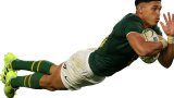 Trending: The Springboks have them raving