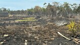 Nelson Mandela Bay veld fires under control after week of devastation