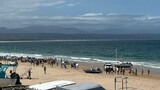 Seal posing rabies threat euthanised at Plettenberg Bay beach