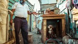 Preventing animal tragedies: SPCA's urgent call to Cape Town residents