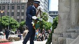 Honouring the fallen: Cape Town's Remembrance Day ceremony
