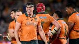 Wallabies plan to annoy Springboks with their 'Great Dane' and 'Jack Russell'