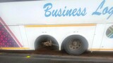 Missing wheels: Unsafe bus travelling from Malawi to Gauteng intercepted in Polokwane
