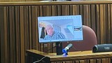 Angelo Agrizzi's pivotal role in the R600,000 corruption case against businessman Trevor Mathenjwa