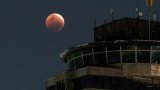 LOOK | Lunar eclipse dazzles South Africans
