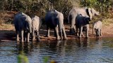No name change for Kruger National Park, confirms Environment Minister Dion George