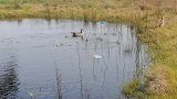 Community urged to protect Rosendal Dam from Illegal fishing practices