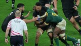 Springboks and All Blacks to share a cosy flight to the US for Greatest Rivalry Test