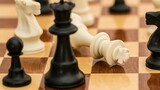 Grootbos to host the first Freestyle Chess Grand Slam Final in December 2025