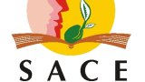 Severe sanctions for rising teacher misconduct in South Africa
